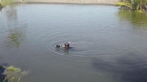 Evakuasi korban tenggelam di muara sungai Sumbersari, Kecamatan Melaya, Kabupaten Jembrana, Kamis (4/5)2023).