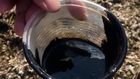 Petugas menunjukkan tumpahan minyak hitam yang mencemari Pantai Melayu.