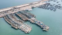 Menurut para ahli, Runtuhnya stok perikanan di Laut China Selatan karena penangkapan ikan yang berlebihan dan perubahan iklim dapat memicu ketegangan serius dan bahkan konflik bersenjata.  