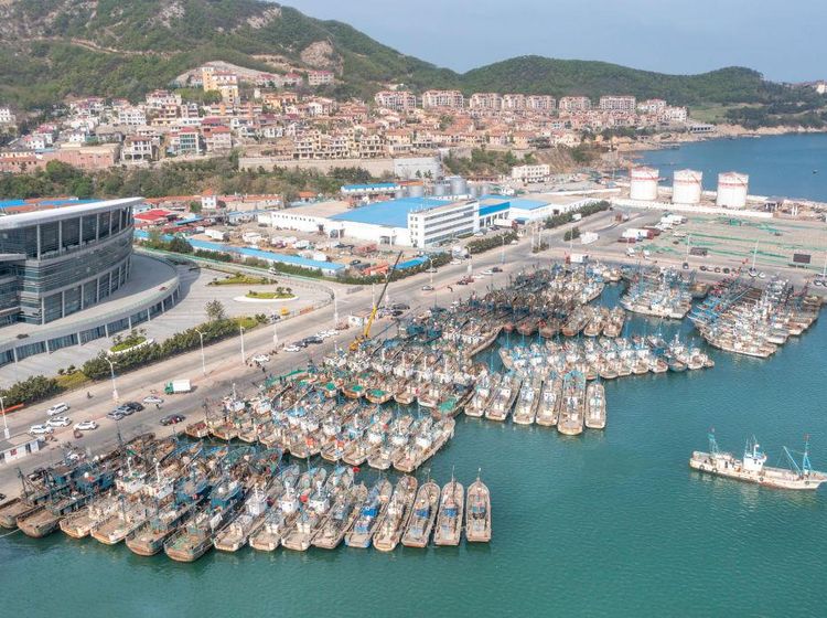 China Umumkan Larangan Penangkapan Ikan Musim Panas Tahunan