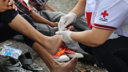 Hari Palang Merah dan Bulan Sabit Merah Sedunia