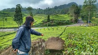 Ternyata lokasi tersebut berada di kebun teh, Jalan Raya Patengan, Kecamatan Rancabali, Kabupaten Bandung. Ini spotnya (Foto: Yuga Hassani/detikJabar)