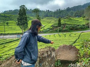 Pengakuan Pasutri Video Syur Kebun Teh Ciwidey: Awalnya Iseng, Eh Jadi Cuan