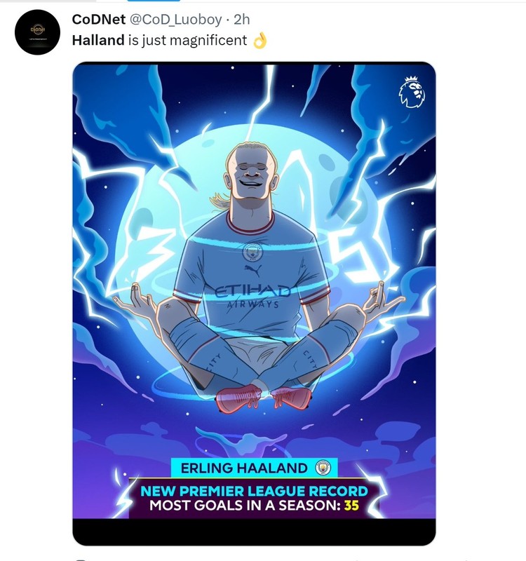Meme Haaland Meme Haaland