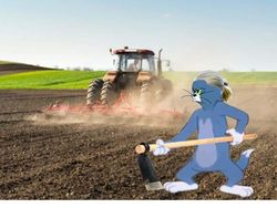 Monster Erling Haaland Jadi Raja Gol Terbanyak