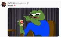 Meme Haaland