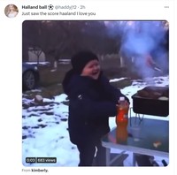 Meme Haaland