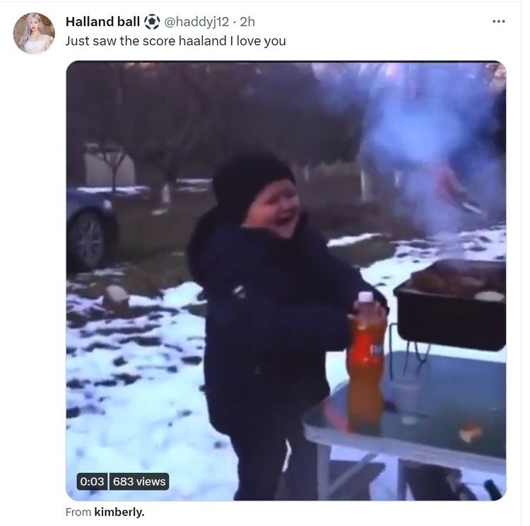 Meme Haaland