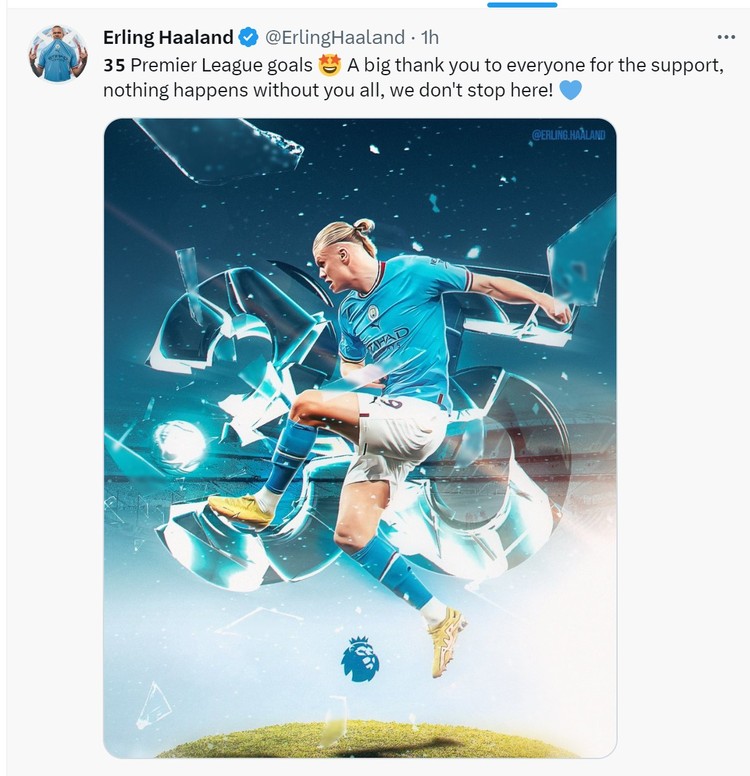 Meme Haaland
