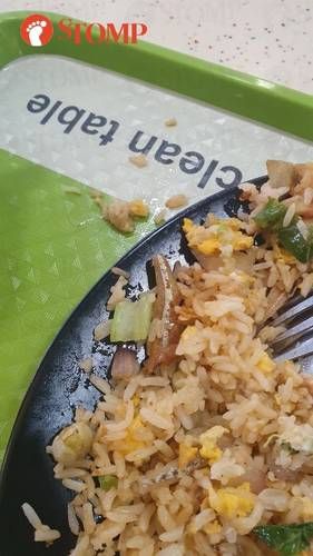Temuan kawat pada seporsi nasi goreng