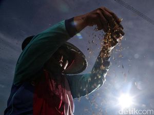 Ekonomi Desa Didorong Lebih Mandiri, Begini Caranya