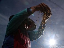 Ekonomi Desa Didorong Lebih Mandiri, Begini Caranya