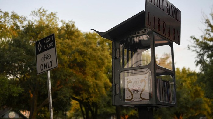 A Little Free Library, the local variation of which has been dubbed 