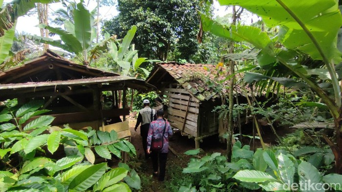 Petugas datang ke lokasi yang dikabarkan didatangi kawanan ajag di Ciamis, Kamis (4/5/2023).