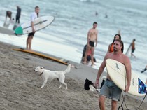 Turis Ramai tapi Hotel Sepi, Bupati Badung Curiga Mereka Nginap di Kos-kosan