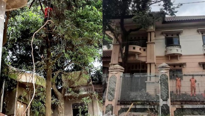 Rumah dokter Wayan dan Ibu Eny (Dok. detikcom)