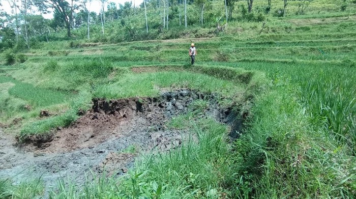 sawah ponorogo longsor
