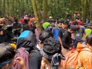 Viral Macet Akibat Pendaki Ilegal di Gunung Gede Pangrango