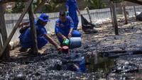 Tim gabungan dari berbagai instansi masih melakukan penyelidikan dan upaya pembersihan kawasan pantai tersebut dari limbah minyak hitam.