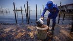 Tim Gabungan Bersihkan Limbah Minyak Hitam di Pantai Batam