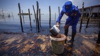 Petugas Dit Polair Polda Kepri membersihkan tepi pantai dari limbah minyak hitam di Pantai Melayu, Batu Besar, Batam, Kepulauan Riau, Kamis (4/5/2023).