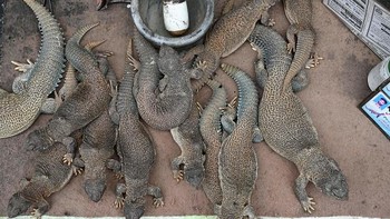 Di negara konservatif seperti Pakistan, pasangan suami istri berada di bawah tekanan ekspektasi masyarakat untuk menghasilkan keluarga besar. Foto: AFP via Getty Images/FAROOQ NAEEM