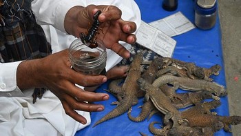 Di sisi lain, obat untuk vitalitas seksual terutama untuk pria, tetap dicari. Foto: AFP via Getty Images/FAROOQ NAEEM