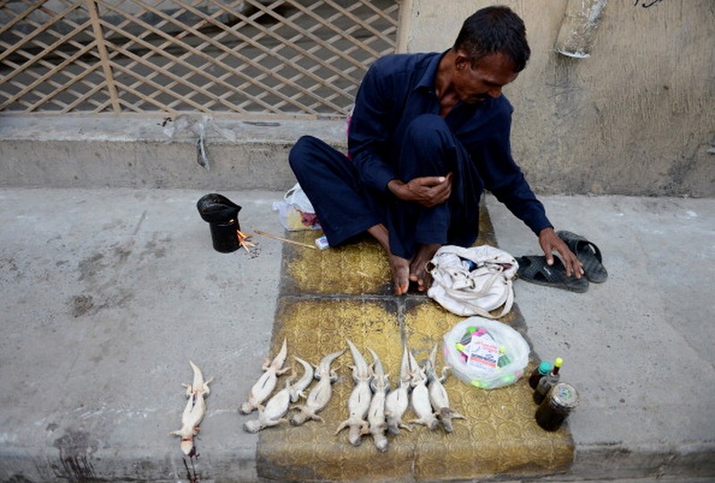 Nadir, a vendor selling spiny tailed lizards known as dhab, poses his reptiles at a market in Rawalpindi on October 22, 2013. Oils extracted from these lizards are believed to cure various ailments including muscular and joint pain, and is also believed to be an aphrodisiac.  AFP PHOTO/Farooq NAEEM        (Photo credit should read FAROOQ NAEEM/AFP via Getty Images)
