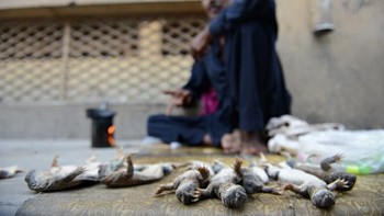 Sejauh ini tidak ada bukti ilmiah yang membuktikan bahwa minyak tersebut bisa meningkatkan stamina pria di ranjang. Foto: AFP via Getty Images/FAROOQ NAEEM