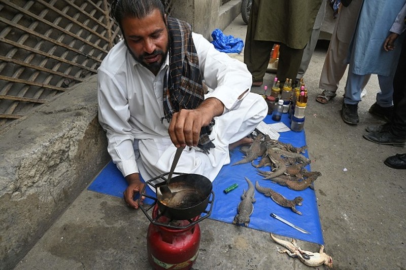 Nadir, a vendor selling spiny tailed lizards known as dhab, poses his reptiles at a market in Rawalpindi on October 22, 2013. Oils extracted from these lizards are believed to cure various ailments including muscular and joint pain, and is also believed to be an aphrodisiac.  AFP PHOTO/Farooq NAEEM        (Photo credit should read FAROOQ NAEEM/AFP via Getty Images)