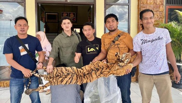 Foto: Polisi saat tunjuki barang bukti kulit harimau yang hendak di jual (Istimewa)