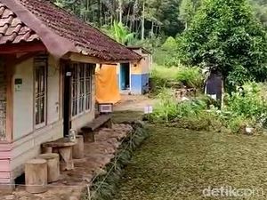 Rumah Surga Abah Jajang Rp 2,5 M Menghijau Kembali, dan Dipagari