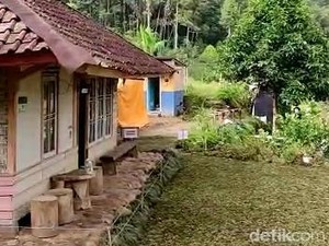 Rumah Surga Abah Jajang Rp 2,5 M Menghijau Kembali, dan Dipagari