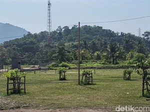 Kisah Kades di Banten Sulap Pantai Gersang Jadi Rindang