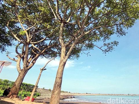 Kades di Banten sulap Pantai Batu Bintang jadi kawasan asri
