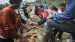 Begini Adu Meriam di Pesta Rakyat Kuluwung Sunda
