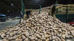 Mengintip Pasar Induk Sayuran di China, Wah Gede Banget!