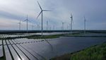 Penampakan Ladang Turbin dan Panel Surya Jerman Demi Genjot Energi Hijau