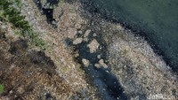 Kendati demikian penanganan sampah di pesisir Marunda Kepu rutin dilakukan setiap hari meski dengan alat seadanya. 