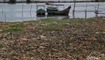 Potret Lautan Sampah di Marunda Kepu