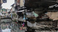 Pemerintah Provinsi DKI Jakarta melalui Dinas Kependudukan dan Pencatatan Sipil (Disdukcapil) mencatat pendatang baru di DKI Jakarta usai libur Lebaran 2023 sebanyak 1.228 orang.  