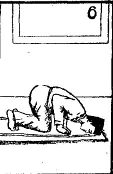 Sujud