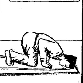 Sujud