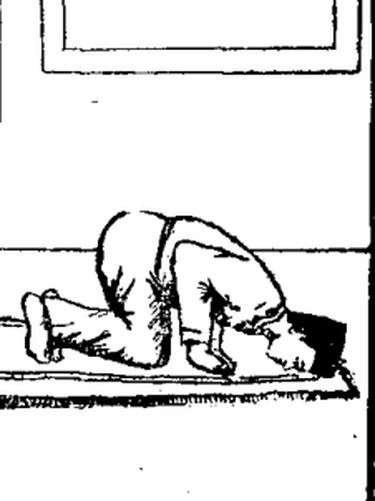 Sujud