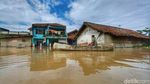 Potret Pilu Warga Cijagra Bandung Hidup di Tengah Kepungan Banjir