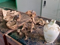 Penemu Harta Karun Kuno Wonoboyo Klaten Dapat Hadiah dari Pemerintah