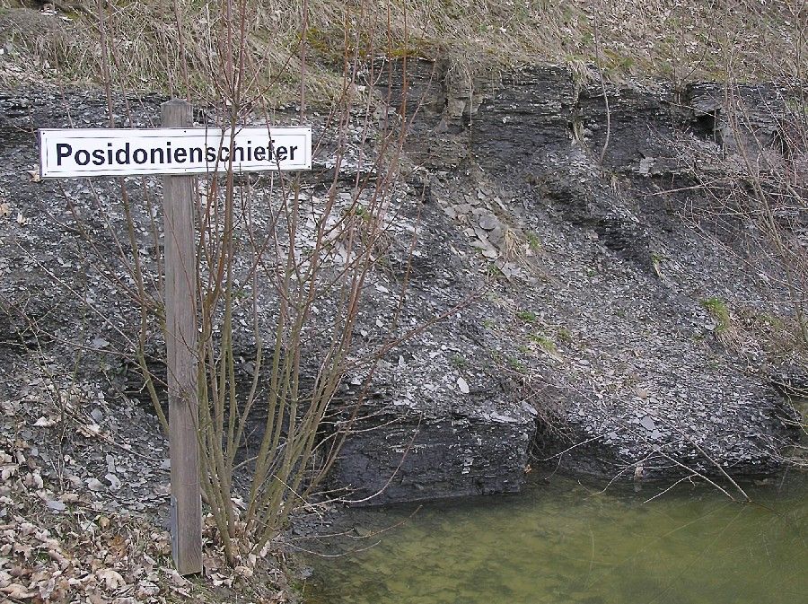 Posidonia Shale