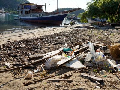 Bersihkan Sampah Plastik untuk Menjaga Bumi Labuan Bajo