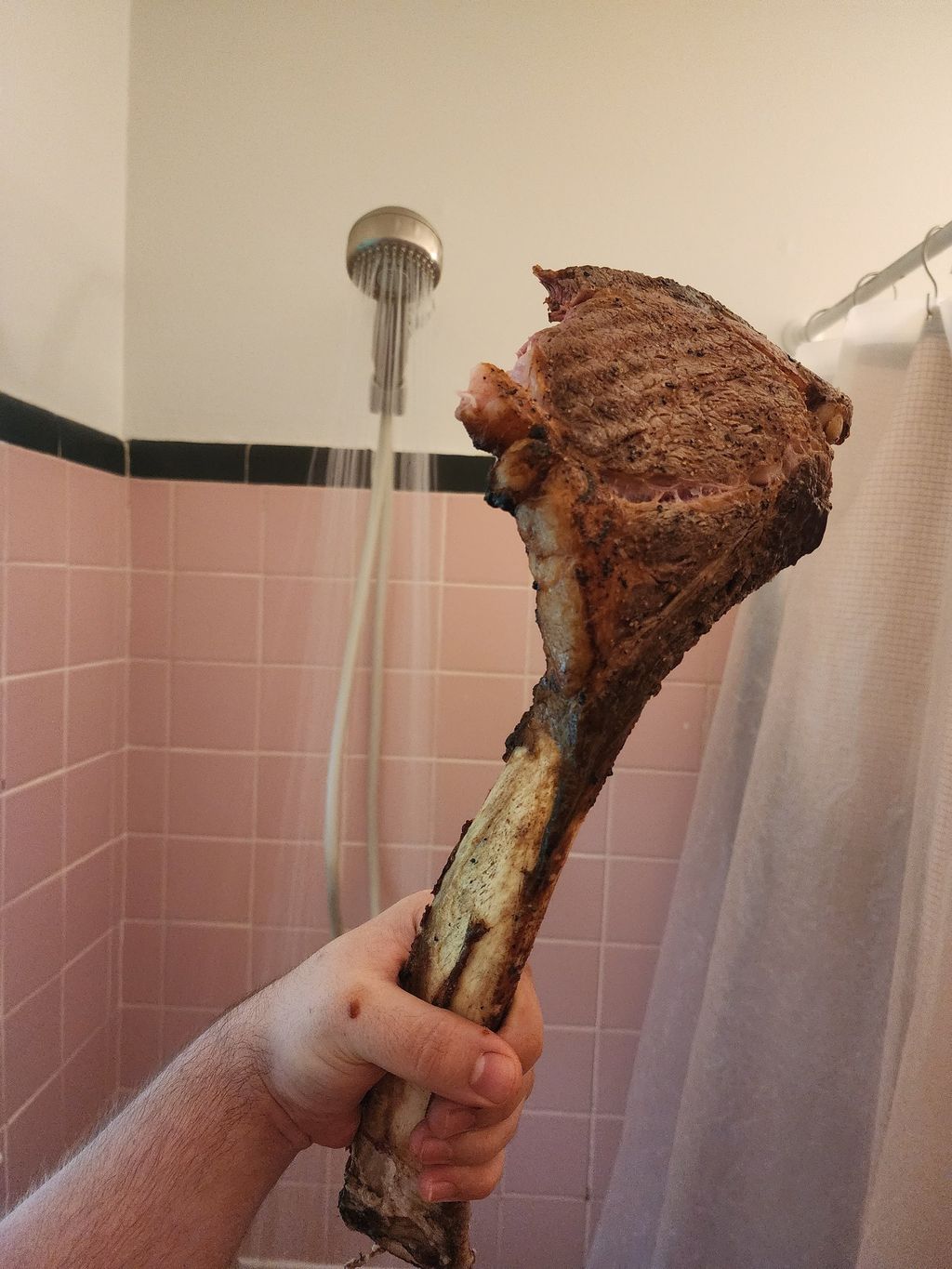 Demi Uang, Pria Ini Bikin Konten Makan Daging Tomahawk di Toilet