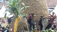 Kegiatan ini diisi dengan membagikan ribuan buah nanas secara gratis kepda warga.
